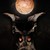 :iconthecavedweller: