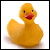 :iconthecduck: