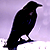:iconthecharris: