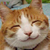 :iconthechocolatepenguin: