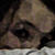:iconthecleary: