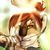 :iconthecloudedleopard: