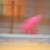 :iconthecolorofjulie: