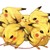 :iconthecoolpikachu: