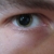 :iconthecorp: