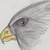 :iconthecrawlingbird: