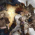 :iconthecreator01: