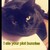 :iconthecritter91: