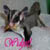 :iconthecutefreak: