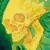 :iconthedarkestseason: