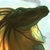 :iconthedarklurker: