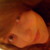:iconthedarkorangel:
