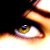 :iconthedarkshadowwithin: