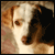 :iconthedawntreader: