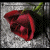 :iconthedeadlyroses: