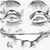 :iconthedeathmonkee: