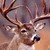 :iconthedeerprince: