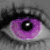:iconthedivisionbell: