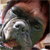 :iconthedogfaceboy: