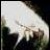 :iconthedoomcookie: