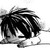:iconthedorkzone001: