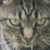 TheDreamyDonno :iconthedreamydonno:
