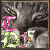:iconthedrenfish: