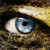 :iconTheDrunkenPenguin:
