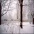 :icontheearlydecember:
