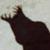 :icontheearth: