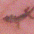 :icontheegex: