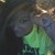 :icontheellebelle: