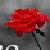 :icontheemobook-com:
