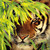 :icontheemperormateus:
