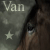 :icontheequinedesigns: