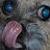 :iconTheEyes-TheySee: