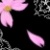 :iconthefaeryprincess: