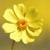 :iconthefaithfullover: