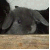 :iconthefavoredsonofluna: