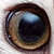 :iconthefeather: