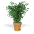 :icontheficus: