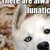 :iconthefifthsomethingoro: