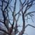 :iconthefishareoutofwater:
