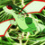 :icontheflamingflygon: