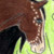 :iconthefluffemsrule: