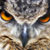 :icontheflyawayallycat: