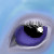 :icontheforeverplace: