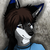 :iconthefreeman186: