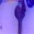 :iconthefunkyllama: