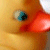 :iconthefutile: